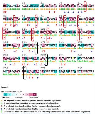 Computational Protein Phenotype Characterization of IL10RA Mutations Causative to Early Onset Inflammatory Bowel Disease (IBD)